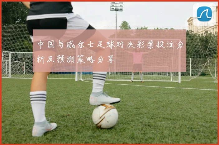 中国与威尔士足球对决彩票投注分析及预测策略分享
